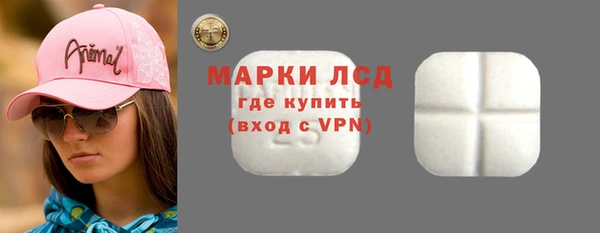 эйфоретик Алзамай