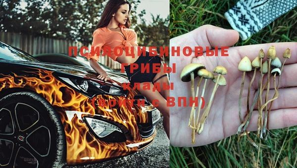 амф Абдулино
