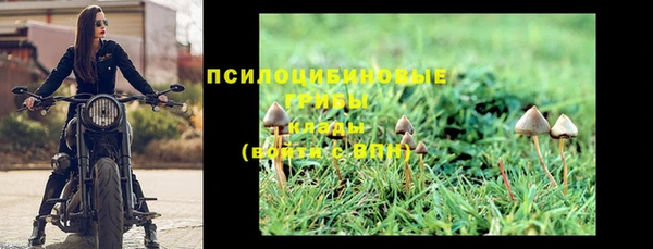 эйфоретик Алзамай